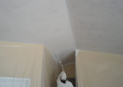 Painting ceiling